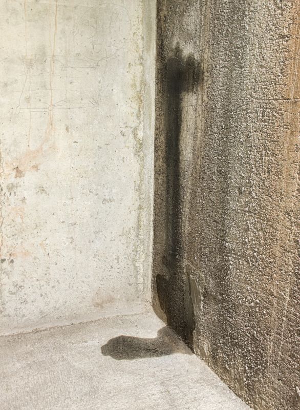 Wet Basement Repair in Tampa, FL