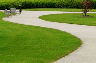 Inspection and Cleanup